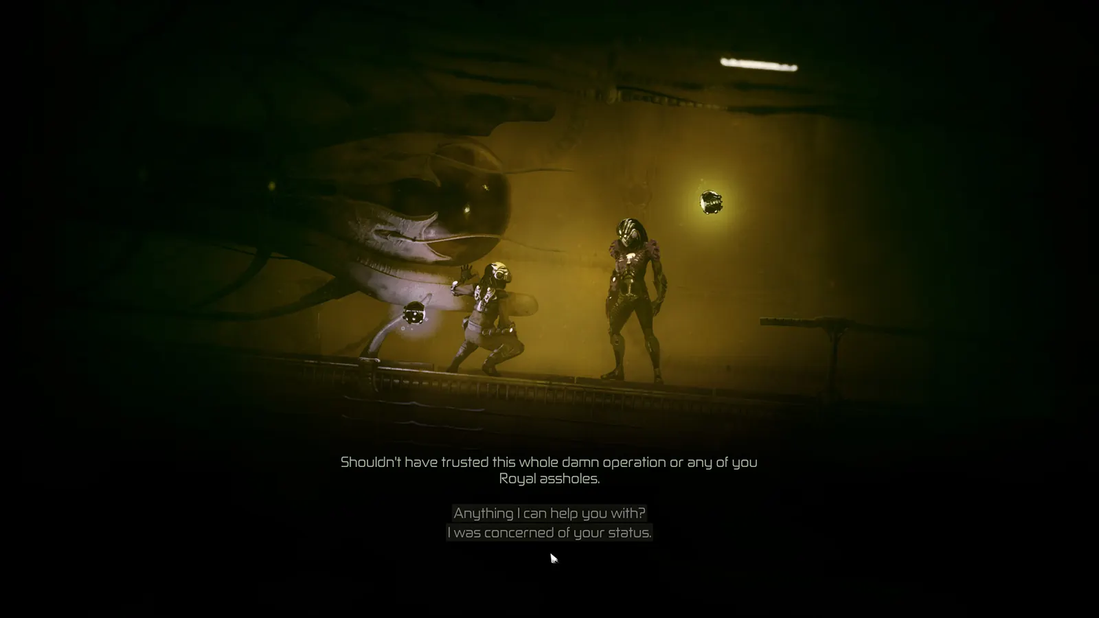 Dialogue criticizing the royal operation